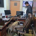 पासपोर्ट ऑफिस में धमाकों की धमकी पर दून पुलिस की त्वरित कार्यवाही, बी०डी०एस० तथा डॉग स्क्वाड के साथ सम्पूर्ण परिसर में चलाया सर्चिंग अभियान